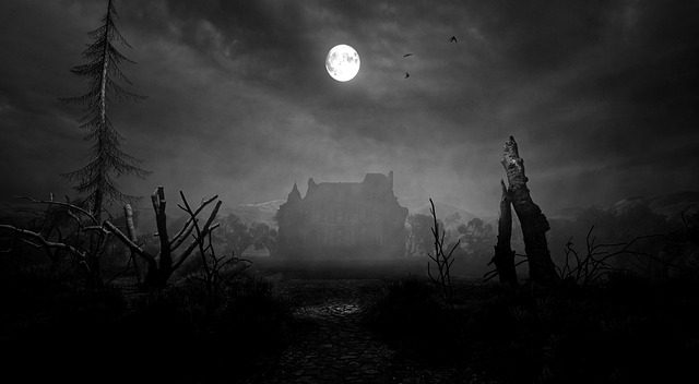Moonlit landscape